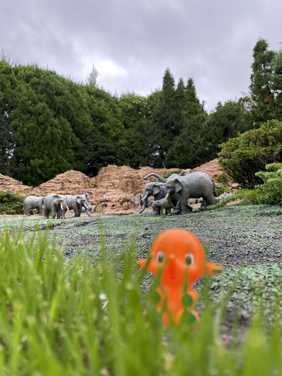 今日は #象の日🐘】 象といえば・・・ #サトちゃん 🧡 なぜサトちゃん