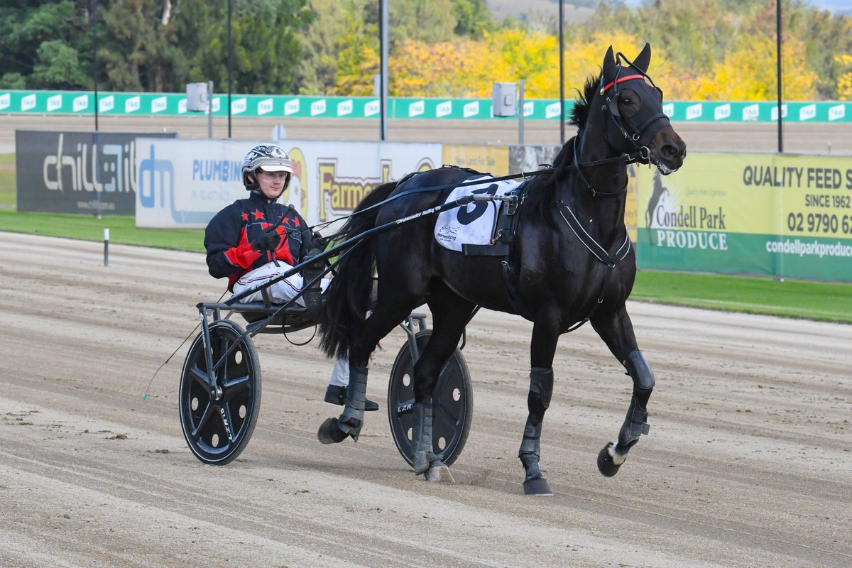Gladiatrix reigns supreme on debut in the <a href="/WoodlandsStudNZ/">Woodlands Stud NZ</a> Stallions - The Market Leader 2YO Trotters Foundation Heat 1.💪🥇

Trained by Dean and Kerry McDowell and driven by Lleyton Green, the filly by Elite Stride out of Maximiser recorded a mile of 2.02.3.

<a href="/Bagley05/">Bagley</a>