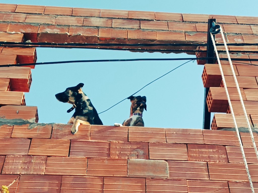 Decile al del reparto que dejo a los muchachos y la soga así le dan una mano <a href="/CorralonC/">Corralón Ciudadela</a>