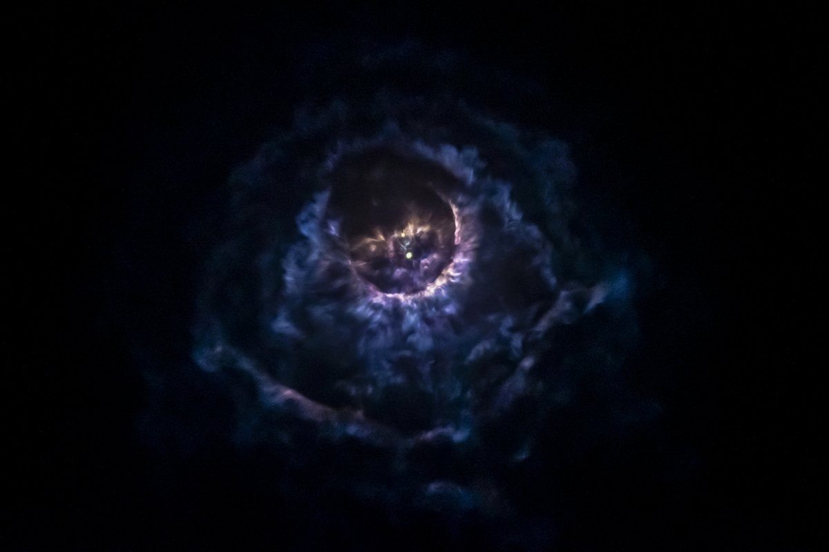 SpaceX tweet media