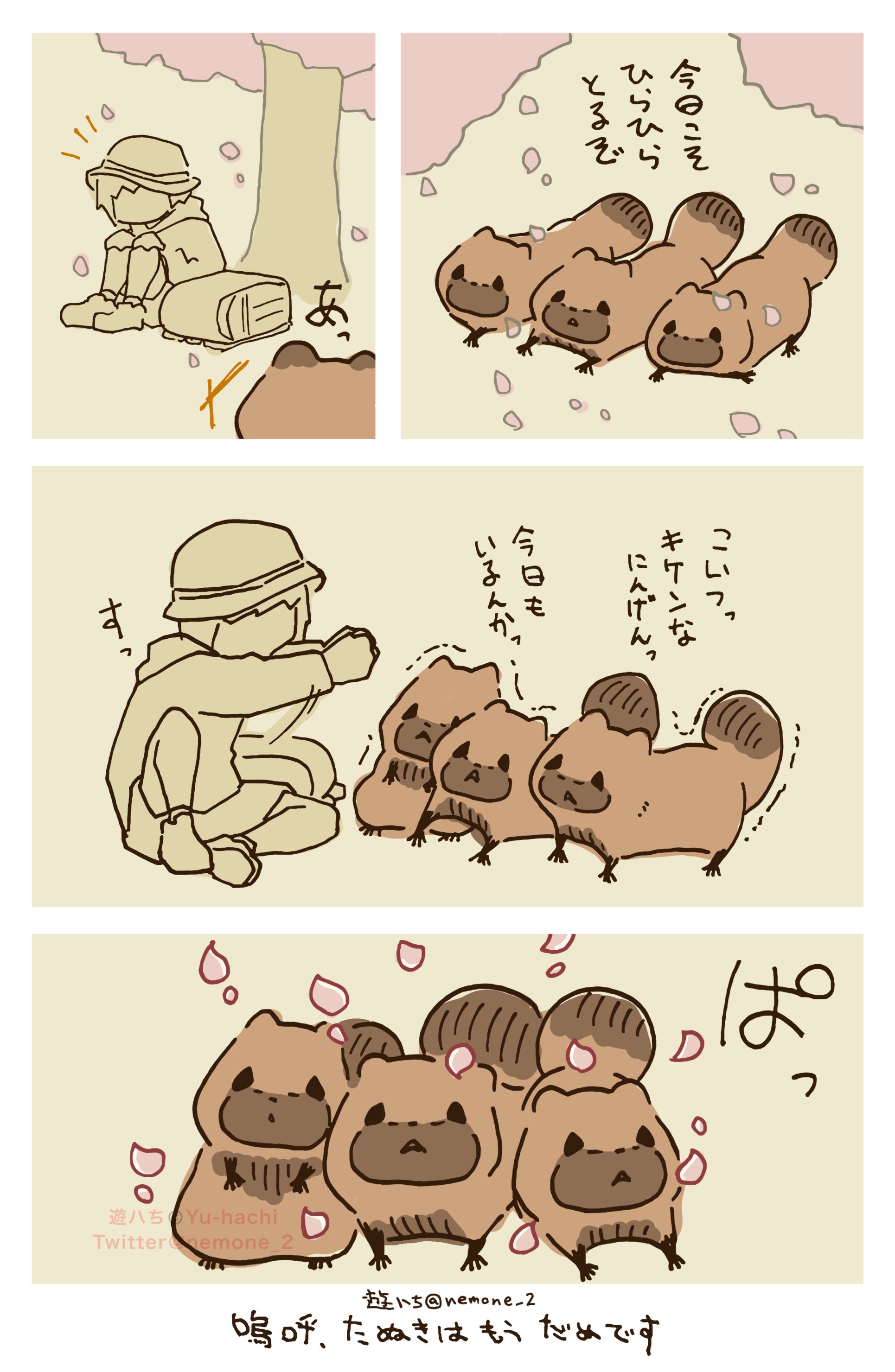 ぽん吉🌱おやさい妖精さん (@PonkichiM) / X