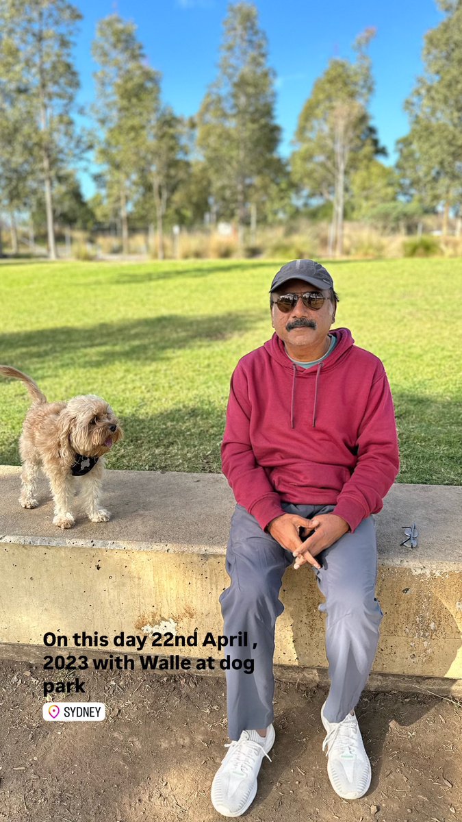 Enabled Photography (@enabledphotogr1) on Twitter photo On this day 22nd April 2023 at dog park in #sydney <a href="/CancerArtProje3/">CancerArtProject</a> On this day 22nd April 2023 at dog park in #sydney <a href="/CancerArtProje3/">CancerArtProject</a>