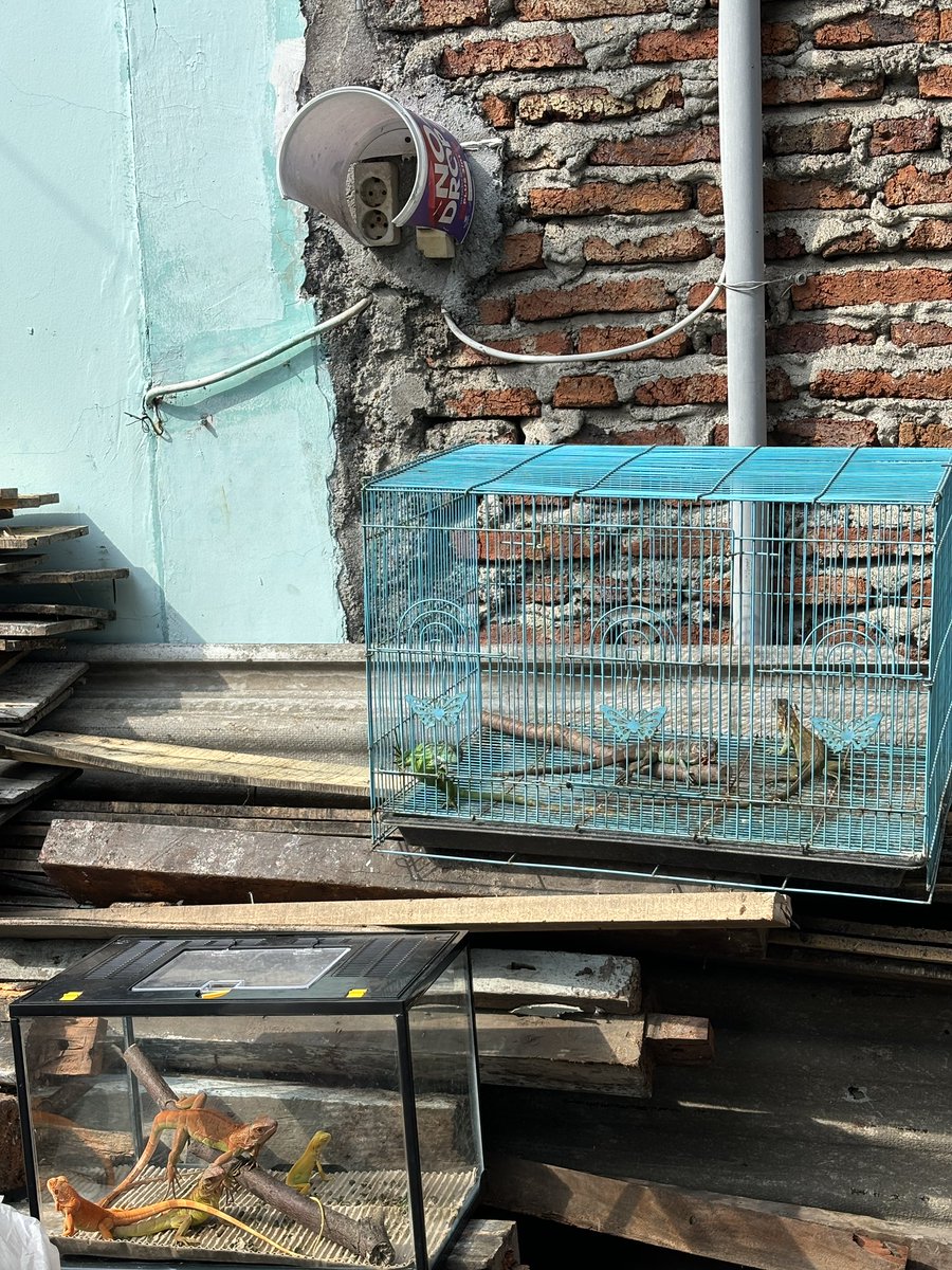 sebuah kegiatan