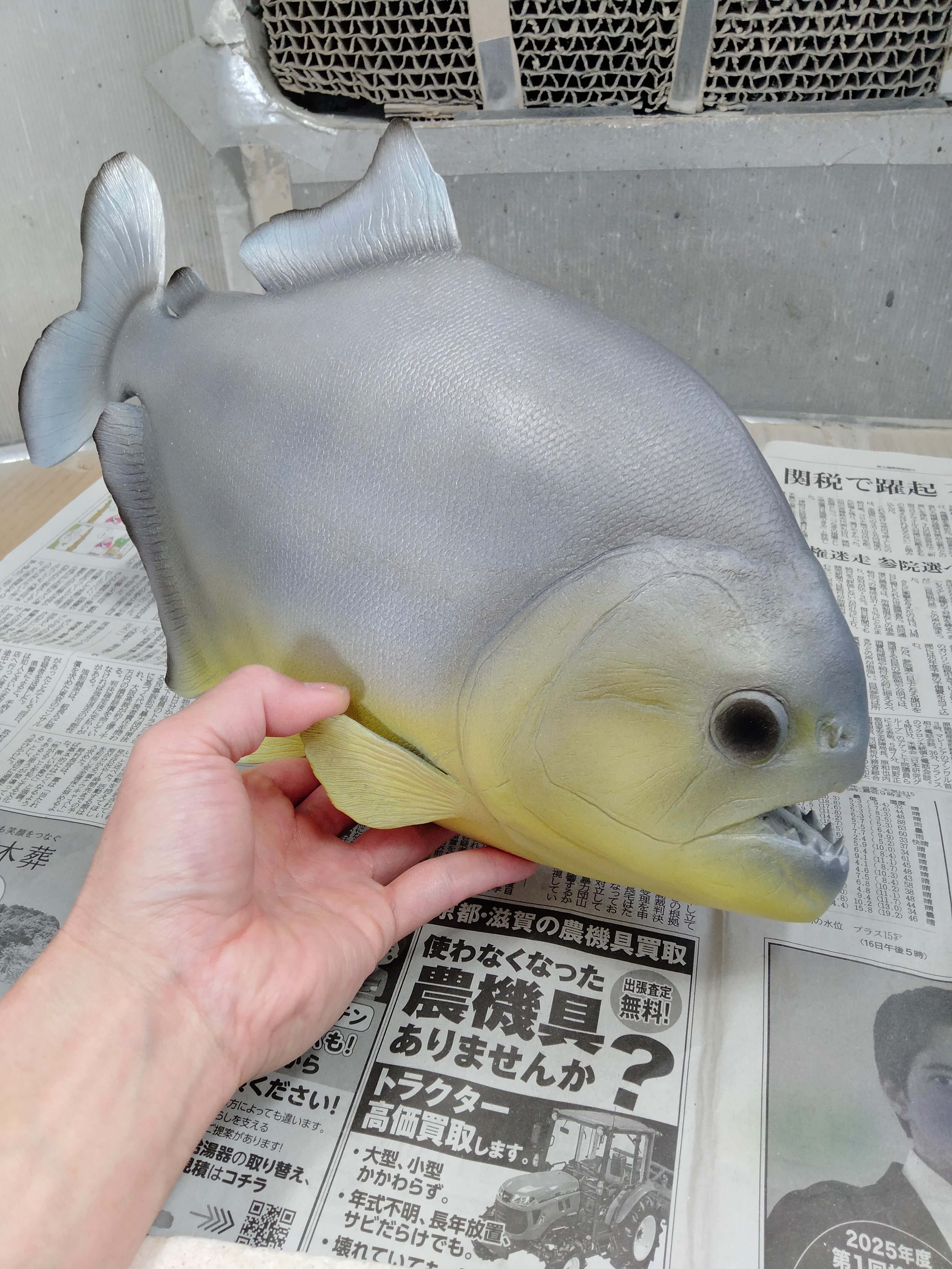 fish craft REAL (@gladiator12827) / X fish craft REAL (@gladiator12827) / X