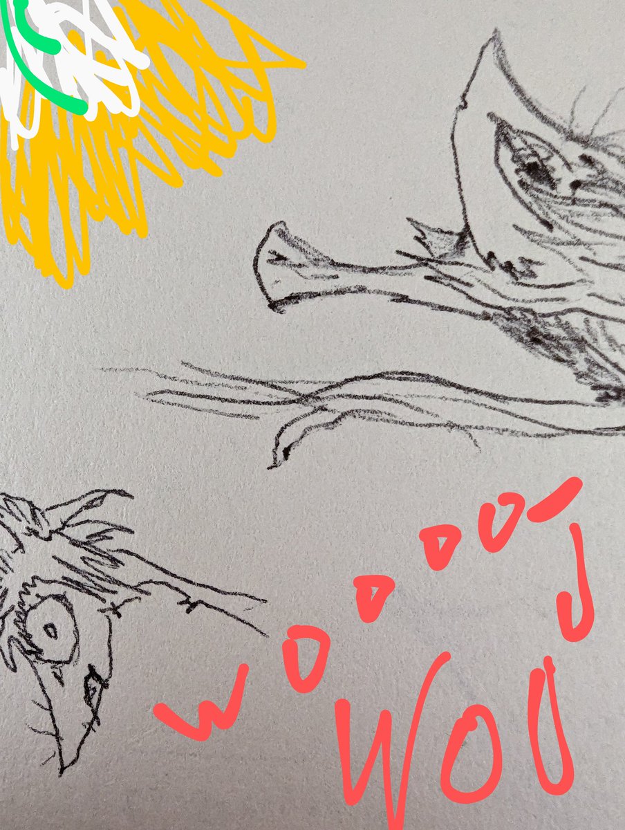 AlferdAF's tweet photo. #woo #woooo #ying #contrail #art #beau #flower seethesun? https://t.co/zydismur39