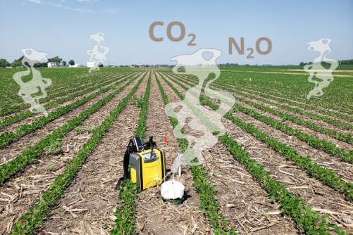 newswise's tweet image. Illinois Leads Most Rigorous Agricultural Greenhouse Gas Emissions Study to Date
newswise.com/articles/illin…
@EnviroWelfare 
#greenhousegases #nitrousoxide #carbondioxide #soilemissions #agriculturalemissions #agriculture