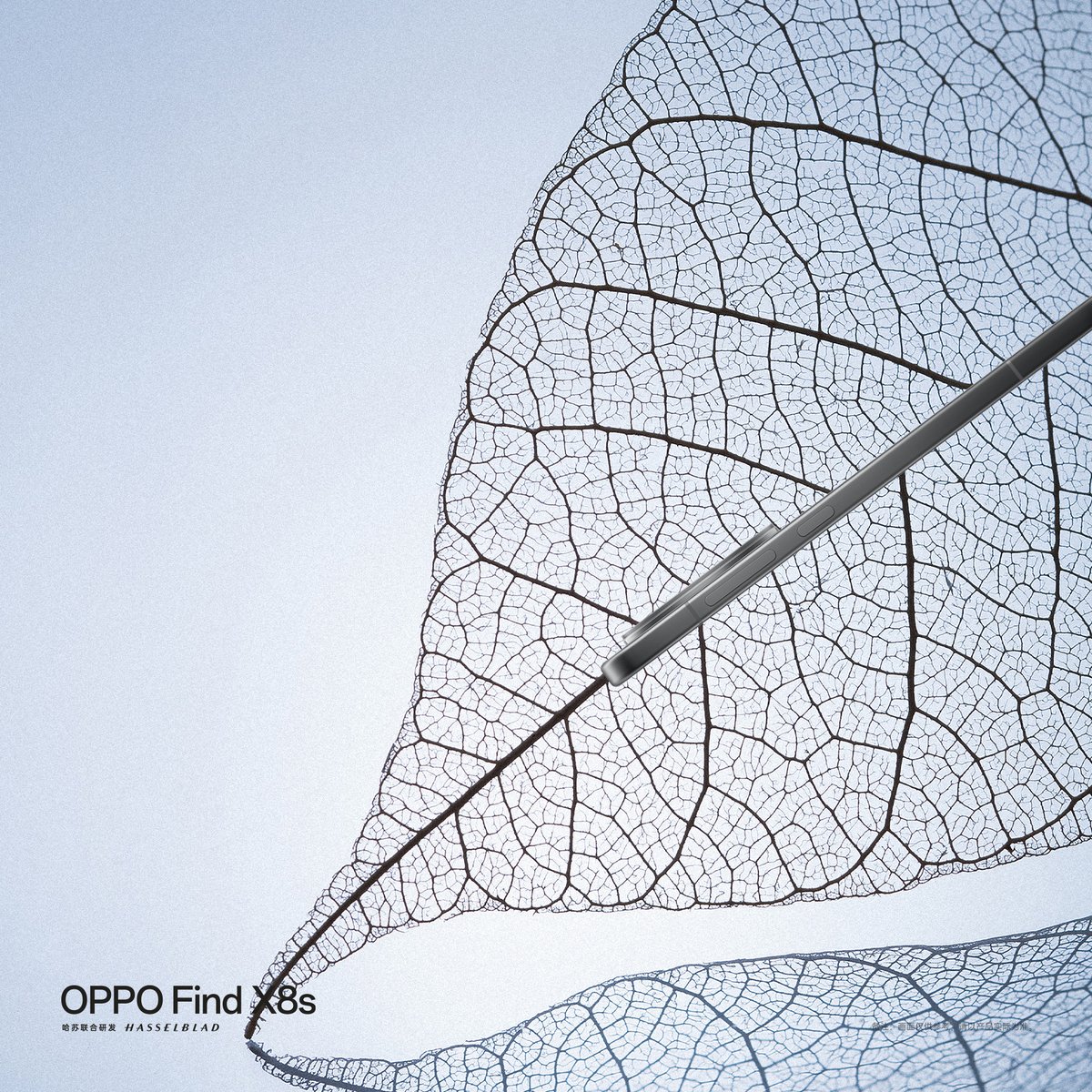 Pete Lau tweet media