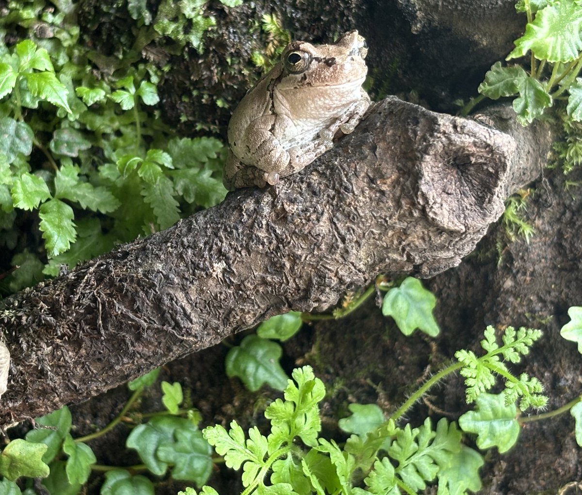 おはようモーニン