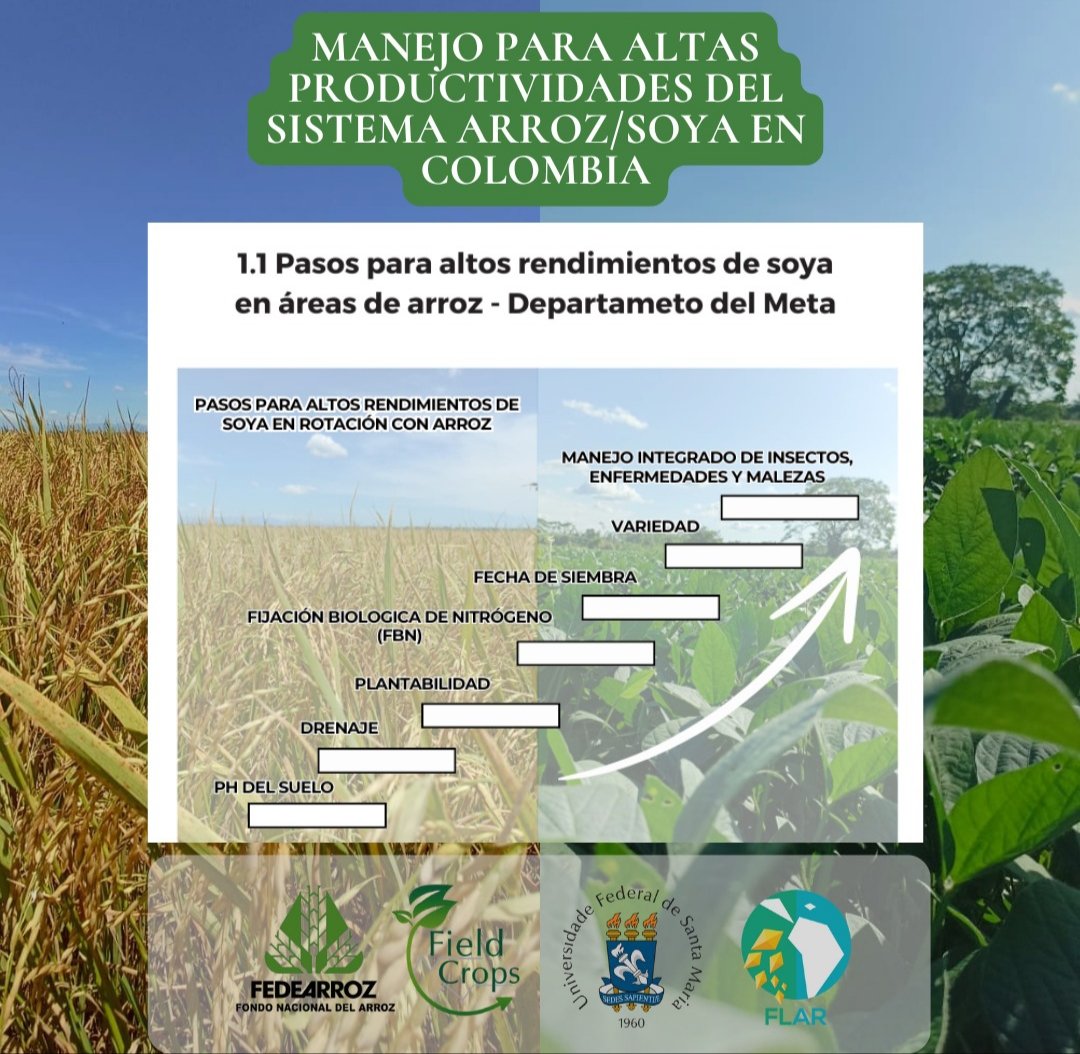➡️ A Equipe Fieldcrops continua avançando no projeto de rotação arroz 🌾 soja 🌱 na Colômbia 🇨🇴 
✅ Seguimos colheitando dados de lavouras de produtores e gerando informações para aumentar a lucratividade do sistema arroz/soja na Colômbia 🚀🚀

#rotação #soja #arroz #colombia🇨🇴