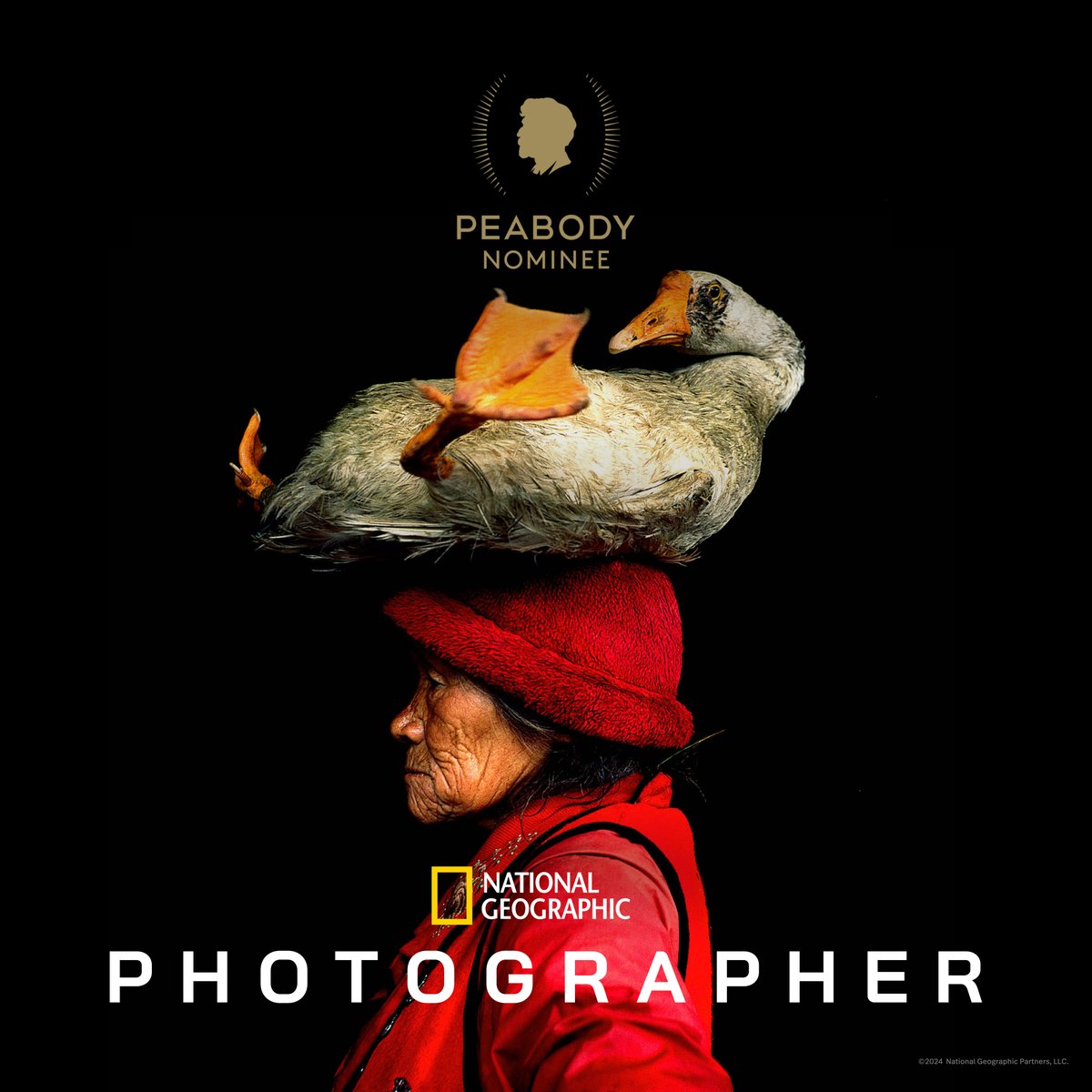 Thrilled to find out that PHOTOGRAPHER -- the <a href="/DisneyPlus/">Disney+</a>/ <a href="/hulu/">Hulu</a> /<a href="/NatGeo/">National Geographic</a> series I worked on -- was nominated for a <a href="/PeabodyAwards/">Peabody Awards</a>! I loved getting to direct HIDDEN WONDERS, an episode about amazing science photographer Anand Varma. Teaser here: youtube.com/watch?v=E0pcv2…