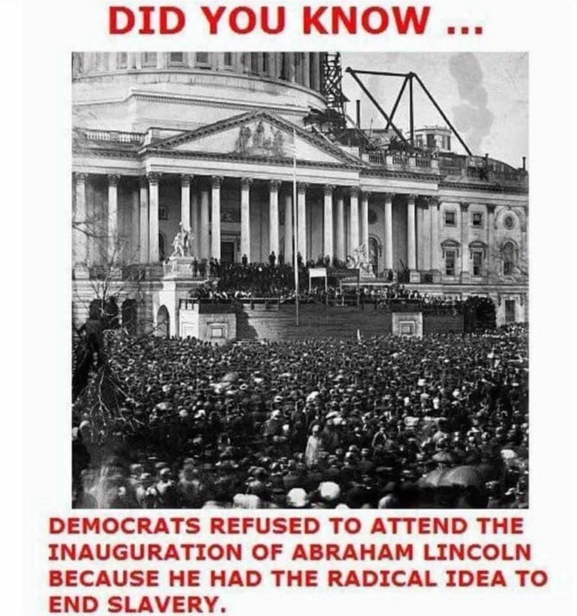 Susan Moore (@mooresusan00) on Twitter photo 