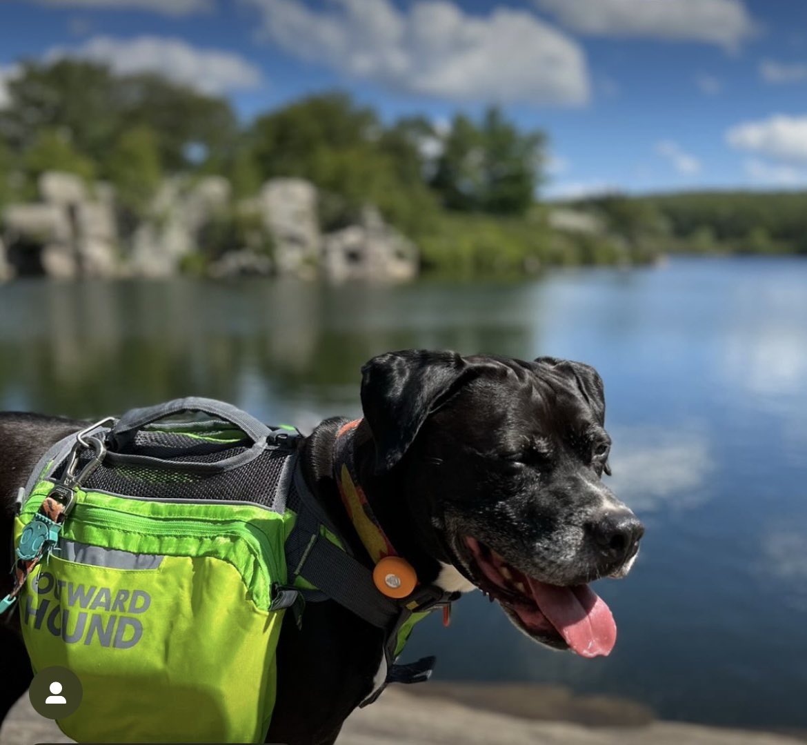 Jillian DeCoursey tweet media