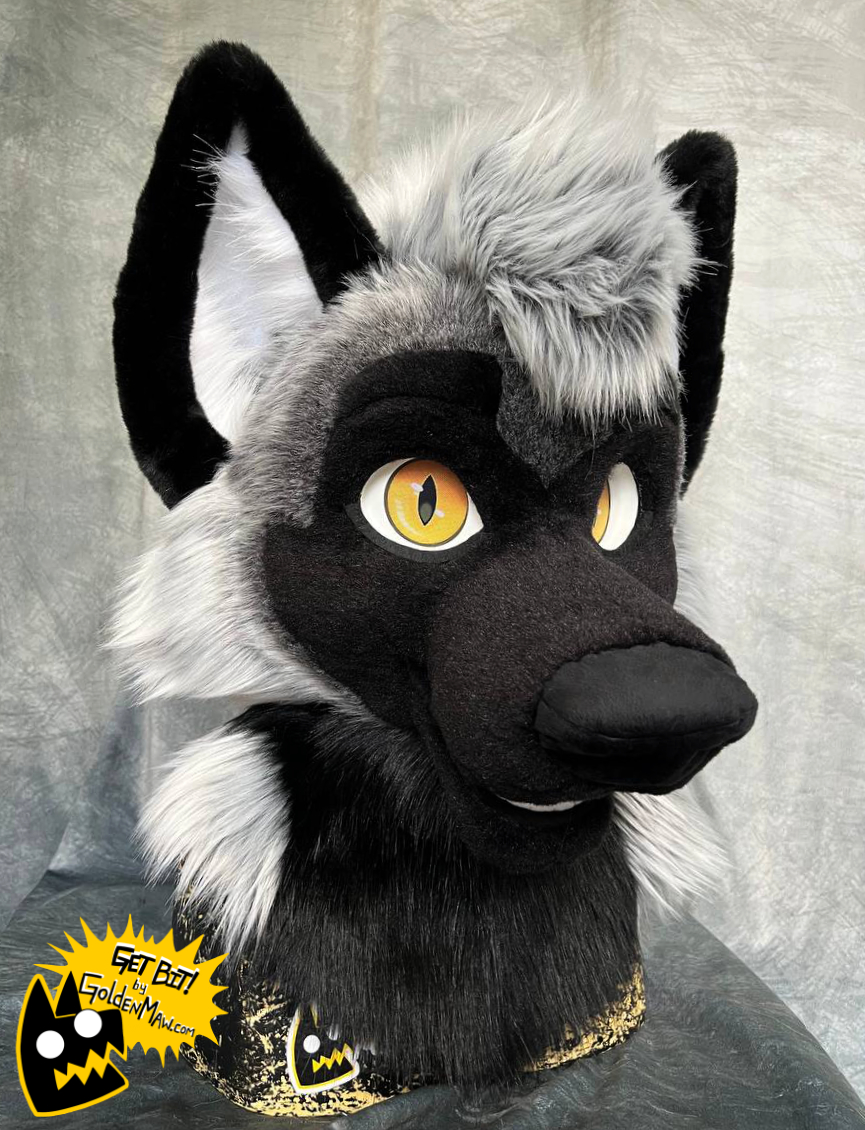 Foxy lad all finished up