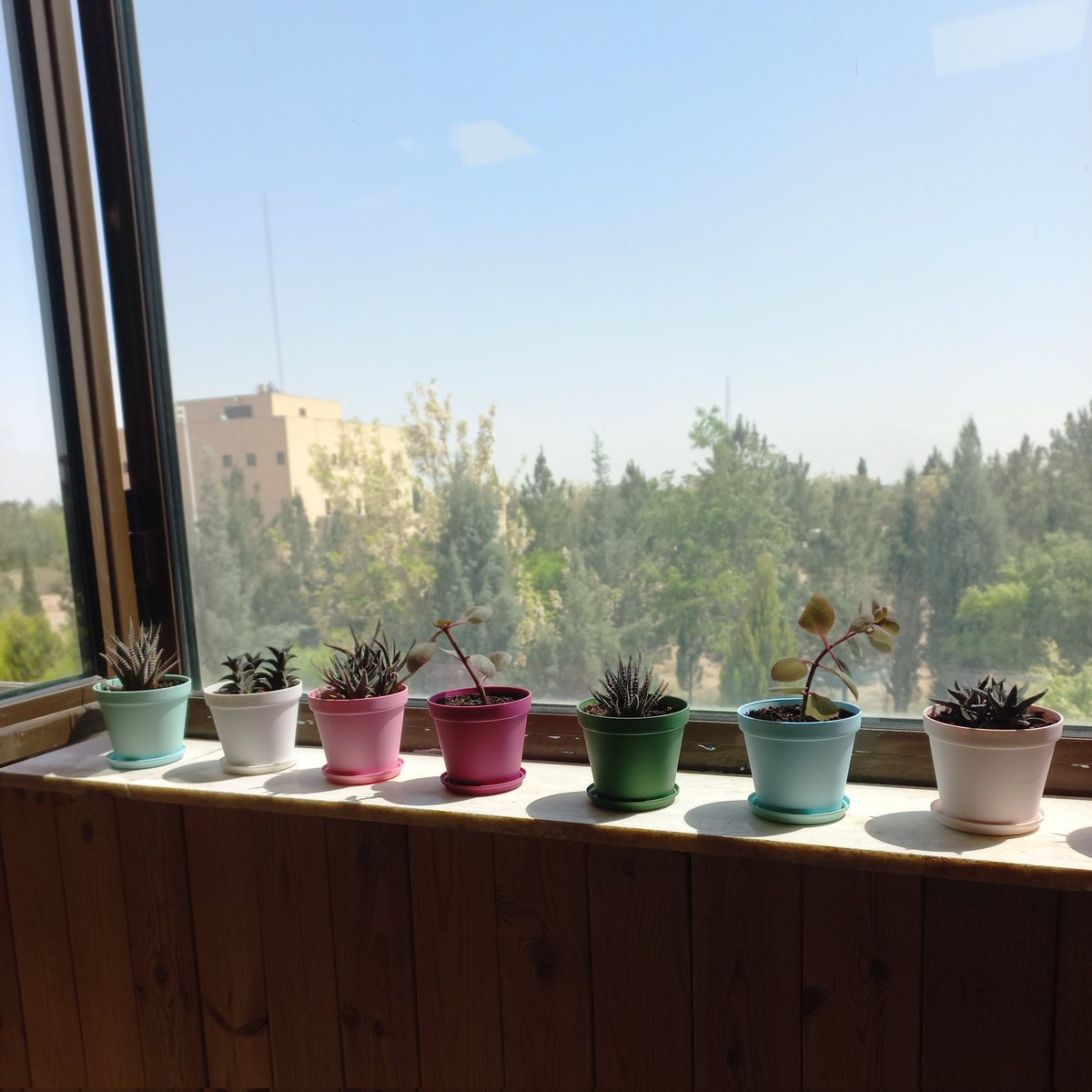 سالن مطالعه دانشگاهمون واقعا ۱۰/۱۰