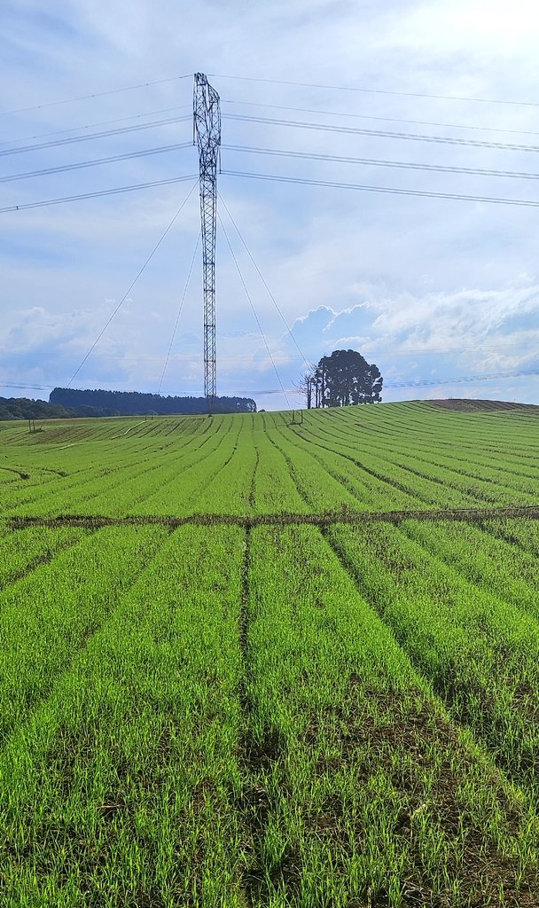 Centeio tá on
#OAgroNaoPara🇧🇷