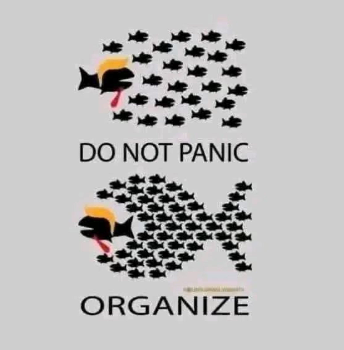 cy_guevara's tweet photo. @JemGarbova @Suzierizzo1 Blood only begets more blood. It's what they want, so they have an excuse to kill more of us.
We need evolution via #GENERALSTRIKES
Real leadership. Direct Democracy. Ranked Choice Voting. Term limits. Elites in jail. + Worker-owned biz to overgrow & overtake every last vulture https://t.co/uuE4WAl5QU