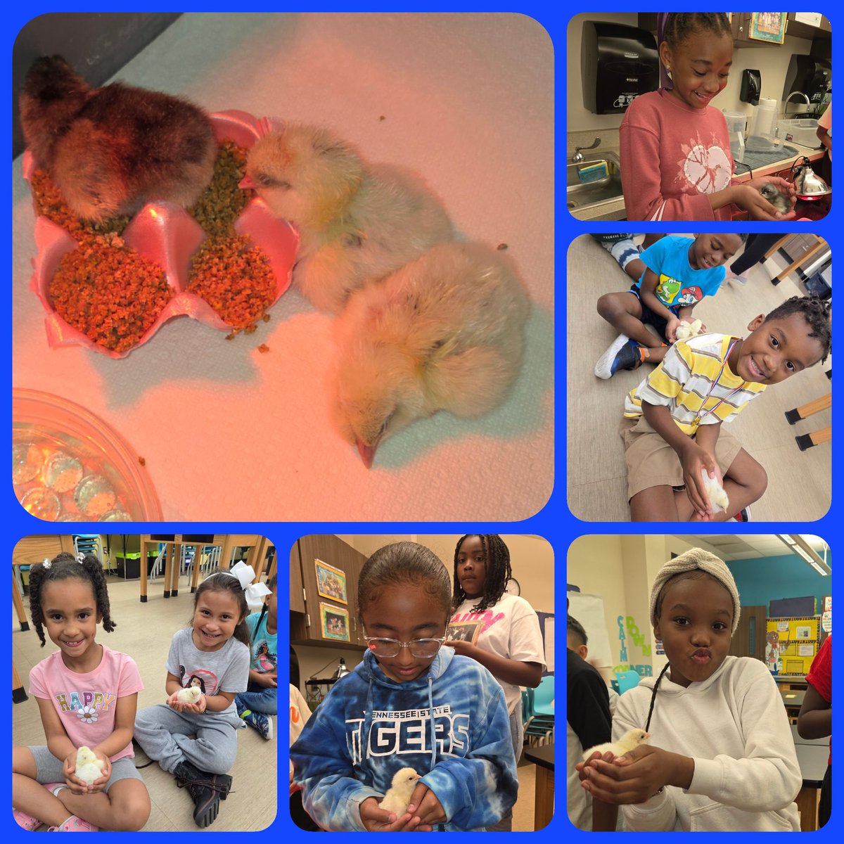 Dawn Logan (@mslogan2311) on Twitter photo What a great way to return from Easter ๐ฃ weekend. Meet: Leo, Josephine, and Roxy ๐ป <a href="/HumbleISD_RCE/">Ridge Creek Elem</a> <a href="/Humble_Science/">Humble ISD Elementary Science</a> #CUBcommUNITY What a great way to return from Easter ๐ฃ weekend. Meet: Leo, Josephine, and Roxy ๐ป <a href="/HumbleISD_RCE/">Ridge Creek Elem</a> <a href="/Humble_Science/">Humble ISD Elementary Science</a> #CUBcommUNITY
