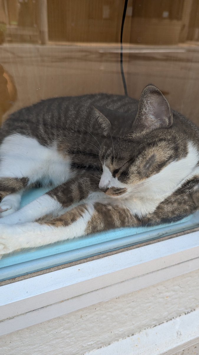 Tokyo1_7hz's tweet photo. 練馬区🏃‍♀️💦
有酸素運動
猫ねこ🐈‍⬛
🔗https://t.co/SbqmiOg1aC
クラシルリワード
紹介された側も5000コイン⇡(⁠•⁠ө⁠•⁠)⁠♡
招待コード【3F1_H-BR】
#清掃デー
カーペンターズの日
地球の日
アースデー
夫婦の日
おはポス
フォロバ100怪しい垢以外 https://t.co/GlJLE6U3q7