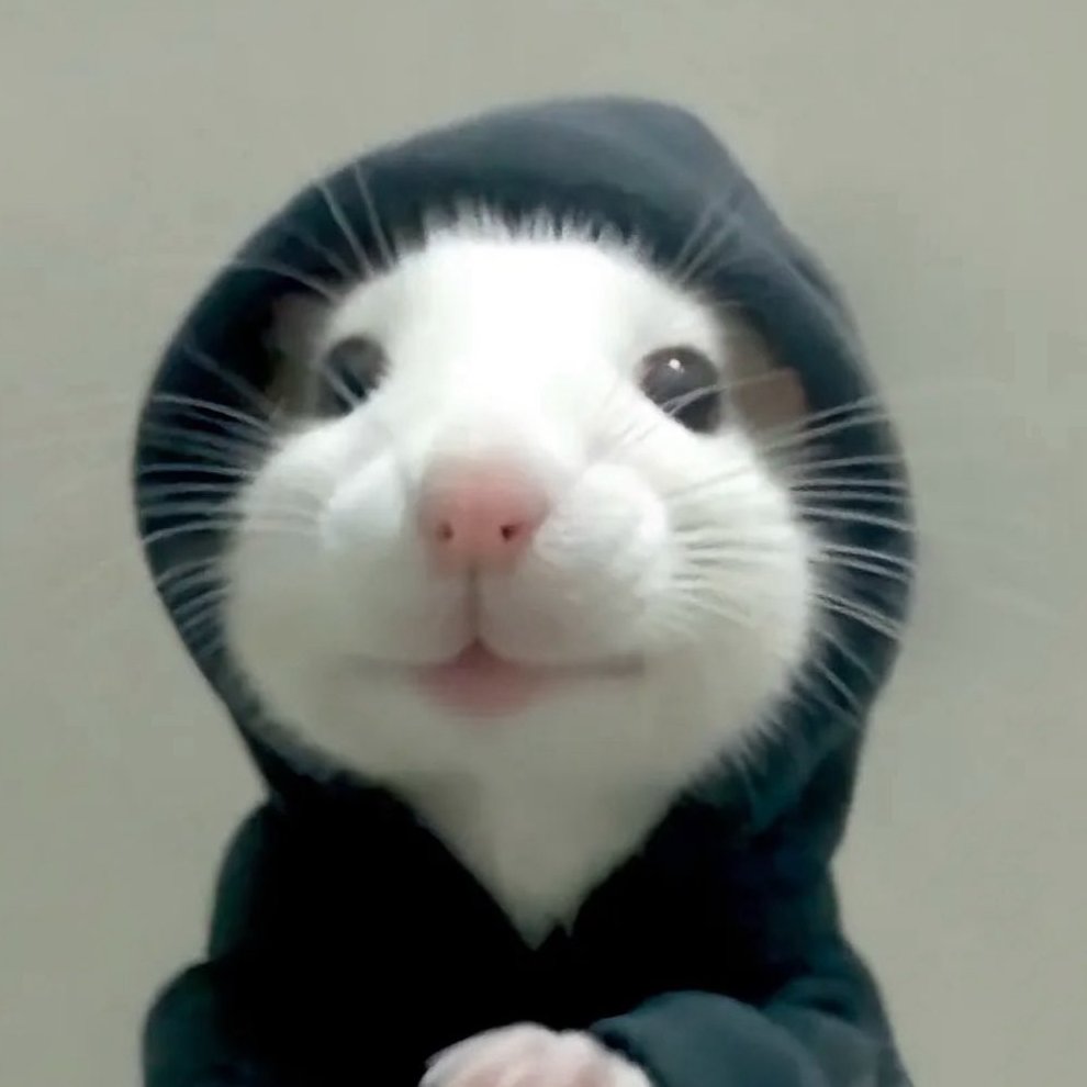 EreusGG's tweet image. POV: Waiting Season 5 @FACEIT_OW