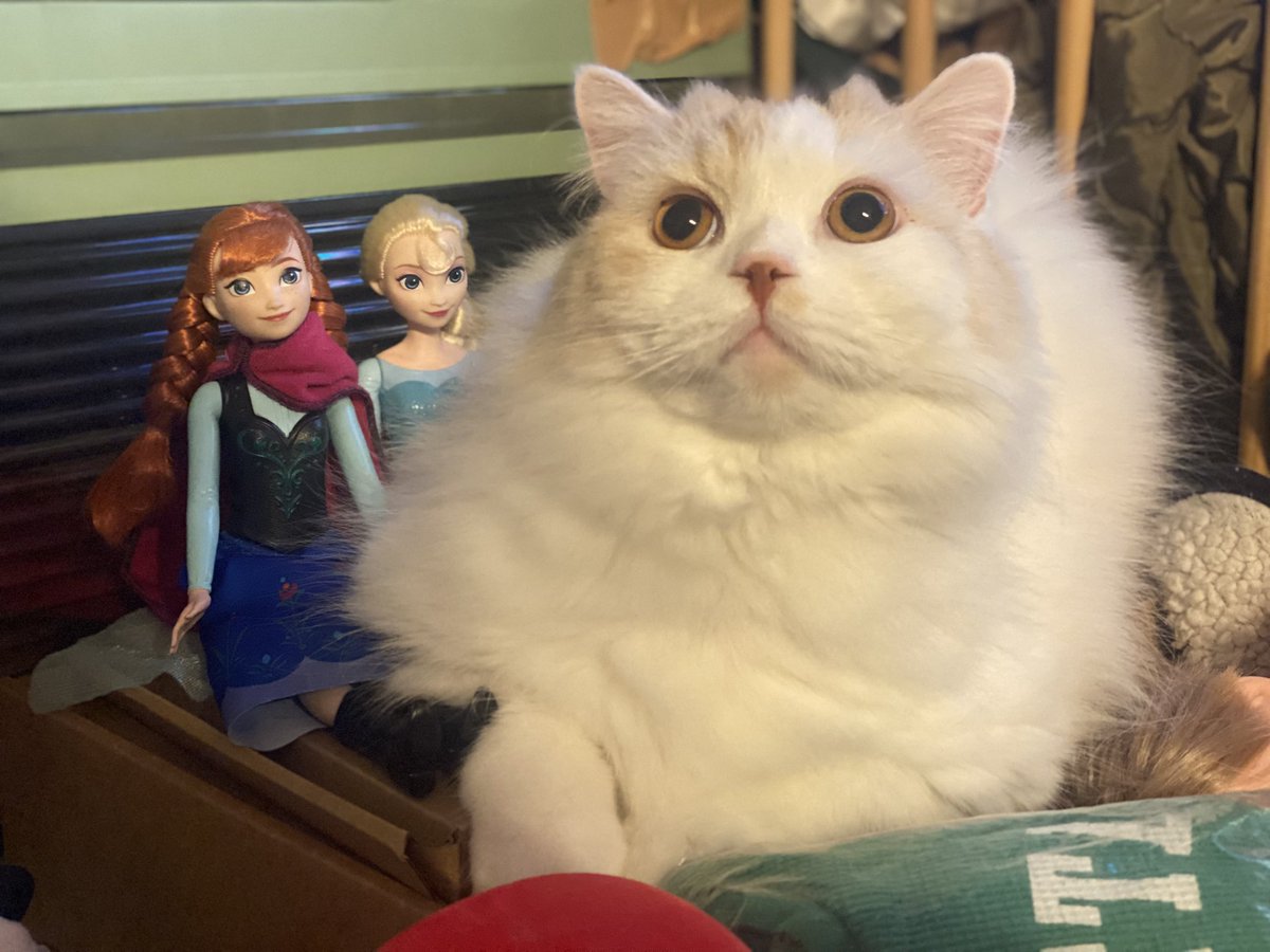 ウガとエルサとアナ