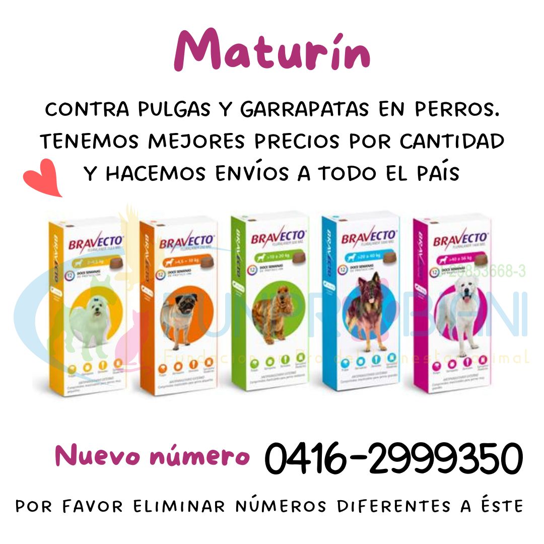 FUNPROBIANI (@funprobiani) on Twitter photo 