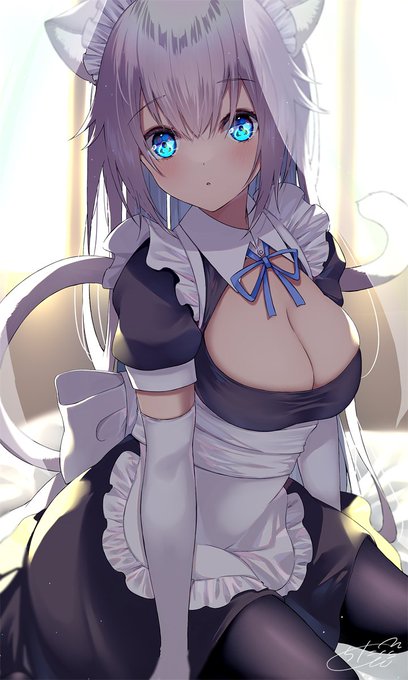 ๅๆฒ ็ฝ็ซใกใคใ๐ฑ