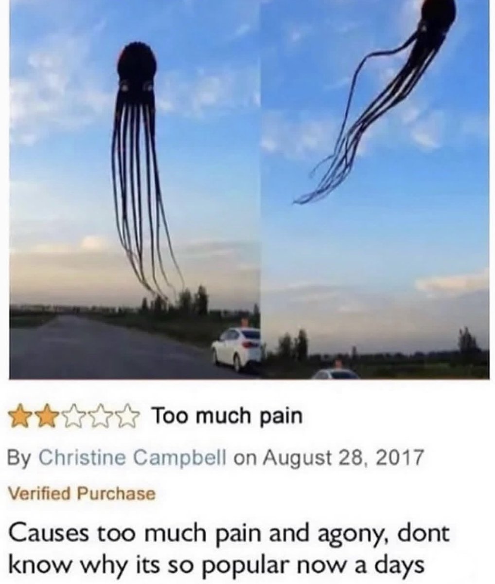 DeviantPigg (@defectivepigg) on Twitter photo 