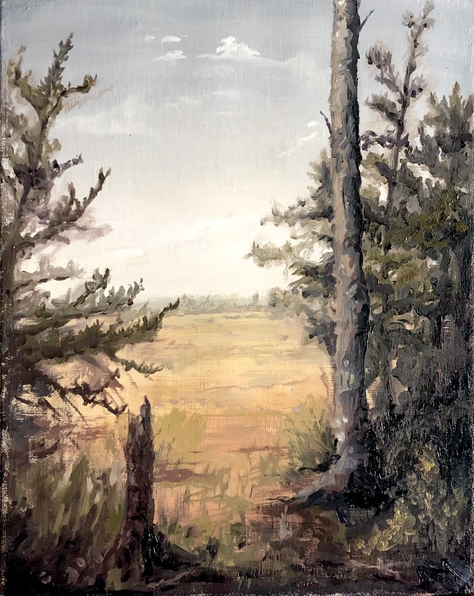AndrewAviste's tweet photo. Plein air painting of the lowcountry.
#Savannah #Georgia #lowcountry #pleinair #landscape #LandscapeMonday #painting #oilpainting https://t.co/pgFlDEpZUa