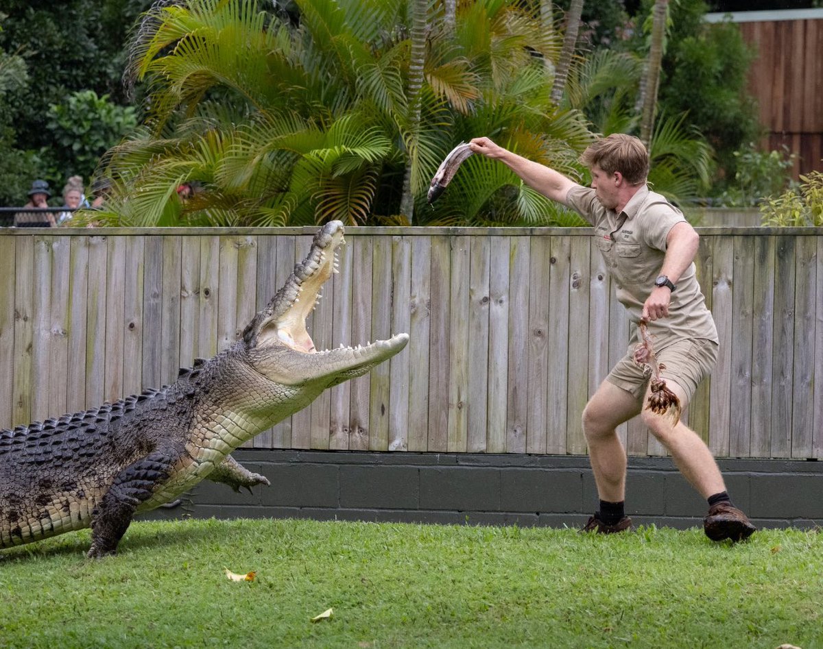 RobertIrwin's tweet photo. Here and there… https://t.co/8Eviglkn8g