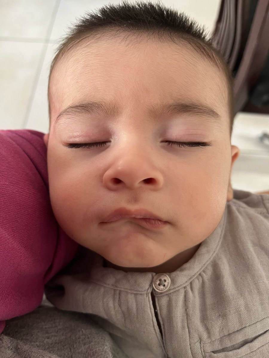 guillobrandi's tweet photo. Este bombón se llama Amadeo ❤️ https://t.co/vXEeatlOQT