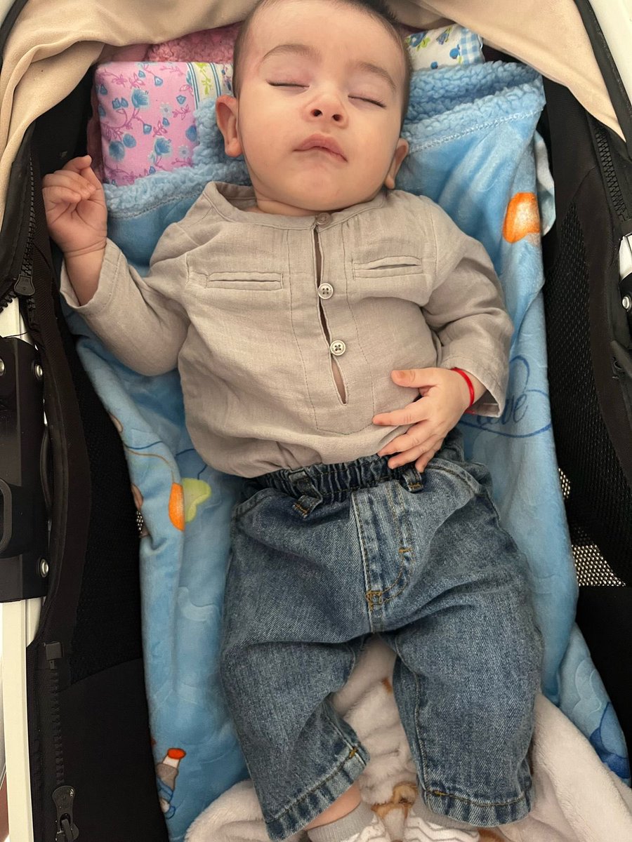 guillobrandi's tweet photo. Este bombón se llama Amadeo ❤️ https://t.co/vXEeatlOQT