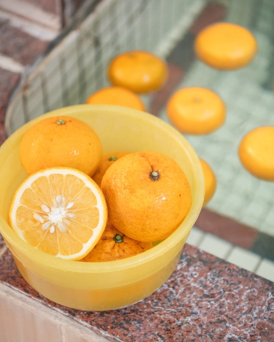 萩は夏みかん発祥の地🍊
萩市の農家、末永さんのご協力により、
旬の夏みかんがあだちの銭湯に届きます！

🌟スペシャル企画！玉の湯にて物販します！
　　日時:4/27（日）15:00〜18:00
        （売り切れ次第終了）

#香り湯プロジェクト #玉の湯