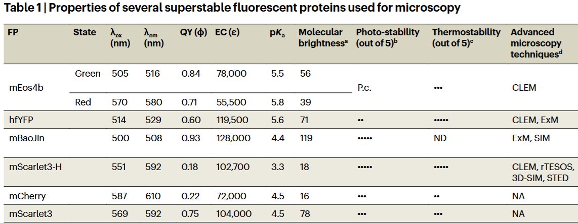 PiatkevichLab (@piatkevichl) on Twitter photo Great News & Views article by Ben Campbell covering recent development in the FP field with focus on mScralet3-H (aka mYongHong) nature.com/articles/s4159… Great News & Views article by Ben Campbell covering recent development in the FP field with focus on mScralet3-H (aka mYongHong) nature.com/articles/s4159…