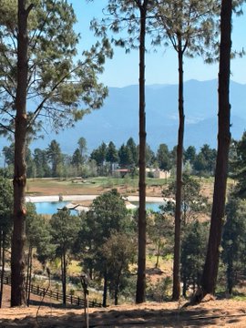 lago ilegal