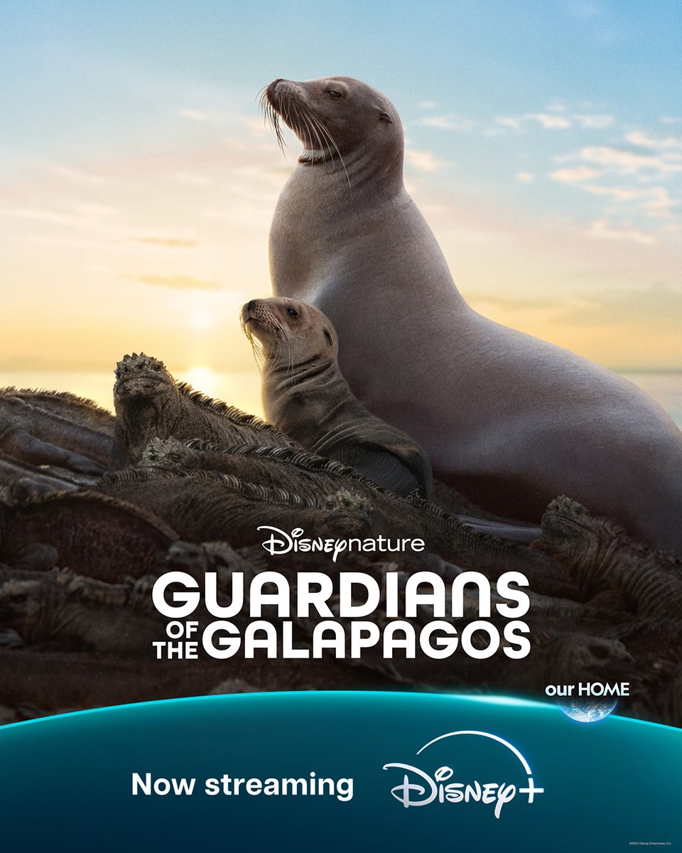 DisneyStudios's tweet photo. Go behind the scenes of "Sea Lions of the Galapagos” with “GUARDIANS OF THE GALAPAGOS," narrated by Blair Underwood. Now available on @DisneyPlus. 🦭 https://t.co/SWmsc42Reh