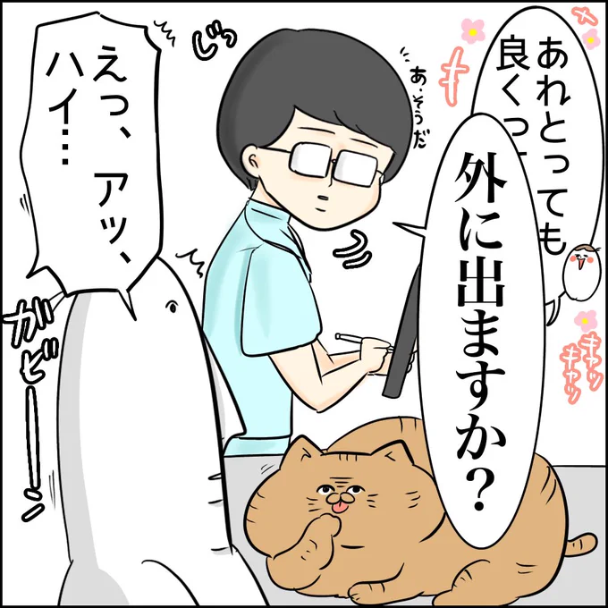 動物病院で怒られたと思った話

〜そしてペット漫画詰め合わせ〜
(0/5)
#絵日記 #漫画が読めるハッシュダグ 
#コミックエッセイ 