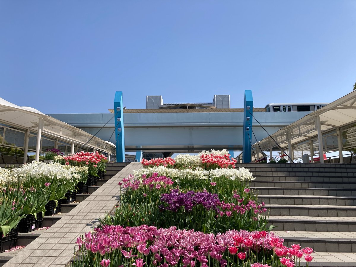 おはようございます😊明日4/23(水)から始まるEDIXの出展に向け、昨日から会場に入って準備を進めています。
ビッグサイトでは美しい花がたくさんお出迎えしてくれました🌹皆様のご来場、心よりお待ちしています😆
#企業公式つぶやき部 #企業公式相互フォロー #EDIX #保護ケースのブルー