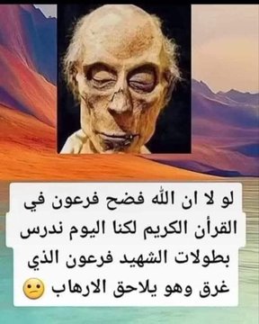 زهير الصرمي 🇾🇪 🇵🇸 tweet media