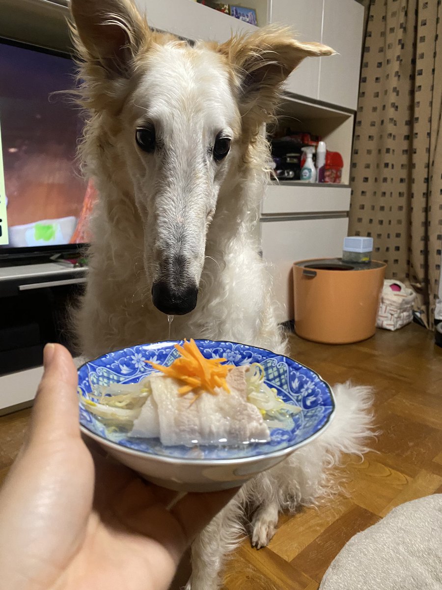 よだれ。がんぼるぞい。

translation:
Drooling