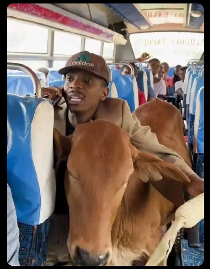 anti mbade ntwala nva vatican ninda genda kuda mangu