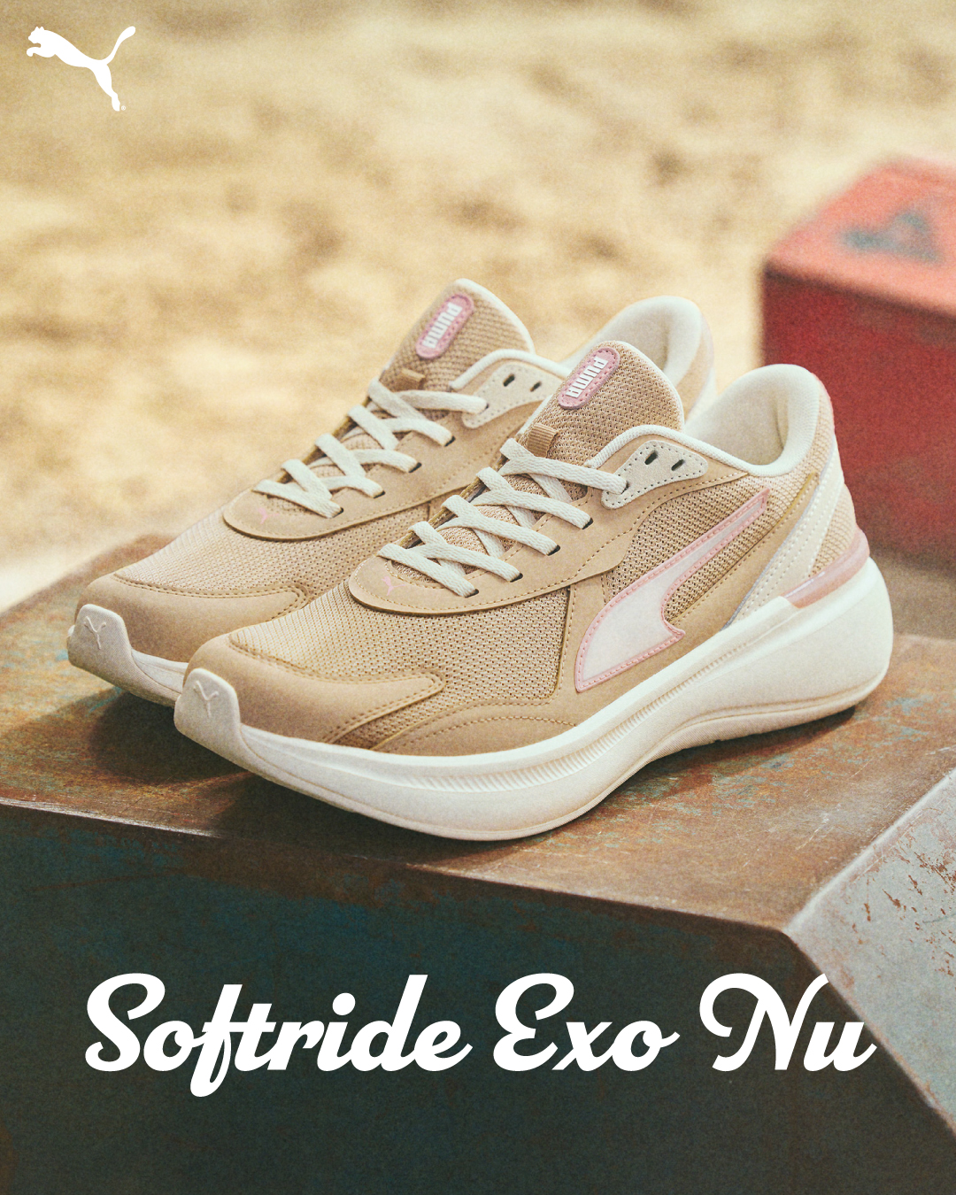 SOFTRIDEEXONU - Search / X
