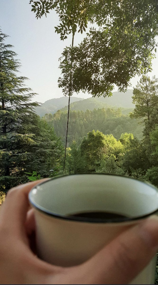 Энэ өглөөний мэндээ