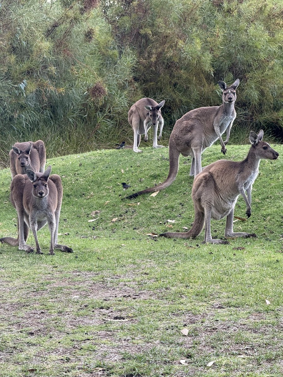 Loving Australia 💕💕💕