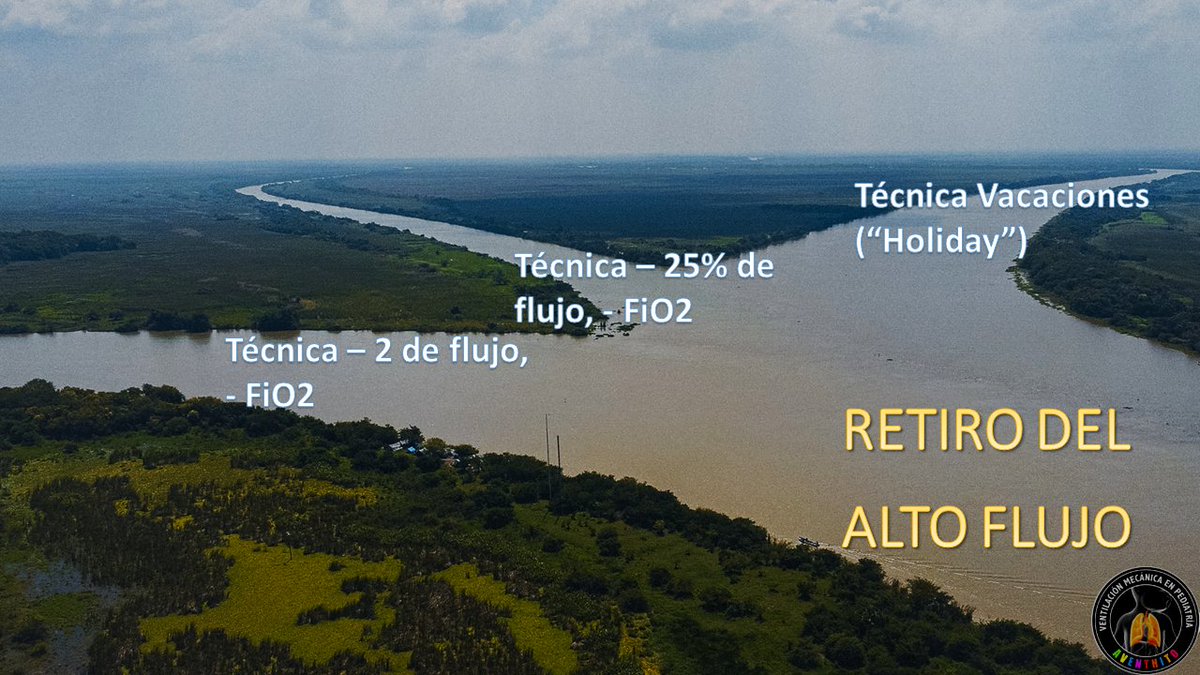 Medicina Crítica Pediátrica tweet media