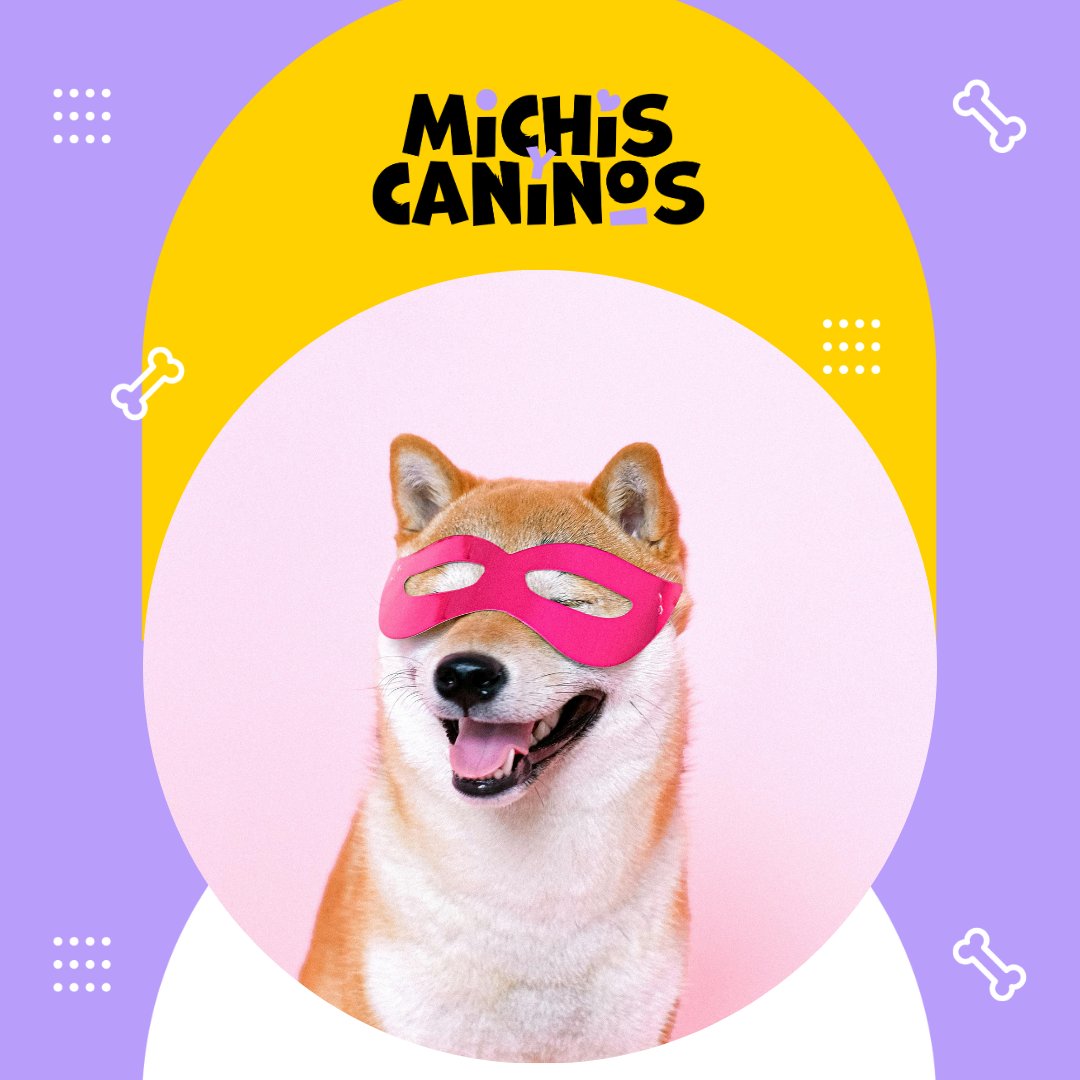 🐕🎨 En la creatividad también caben los perros. Dan estructura, motivación y emoción. 👉 michisycaninos.com