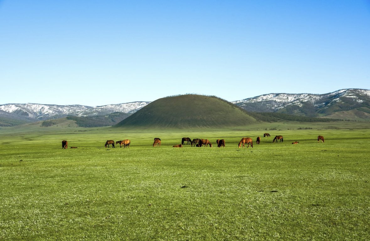 Өглөөний мэнд ✌️