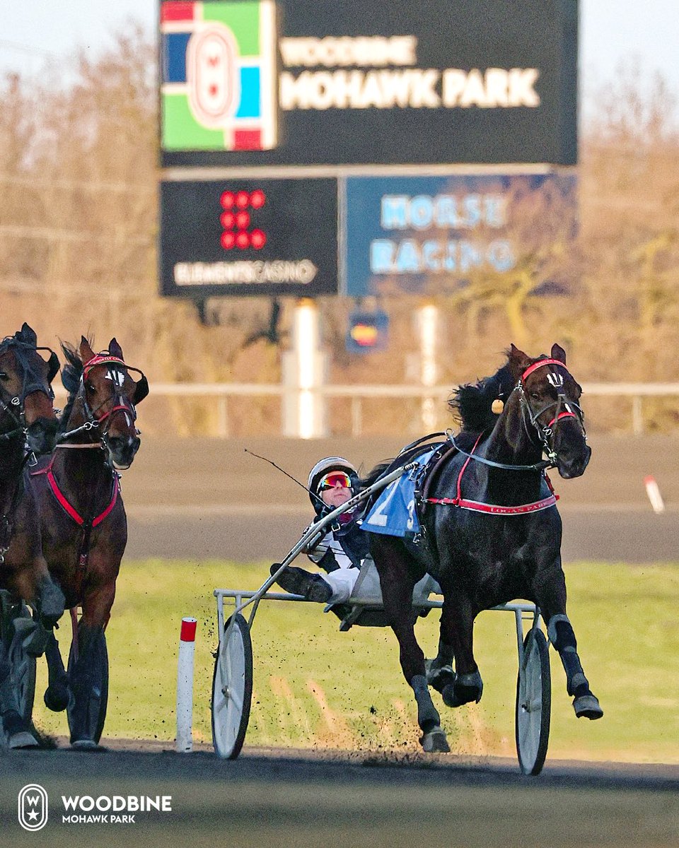 LOGAN PARK thunders down the @woodbinesb stretch on his way to another Preferred win as he tunes up for the 2025 Elitloppet next month in Sweden.