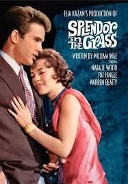 TCMComingUp's tweet photo. #ComingUpOnTCM
SPLENDOR IN THE GRASS (1961) Natalie Wood, Warren Beatty, Pat Hingle
Dir.: Elia Kazan 3:00 AM PT
Sexual repression drives a small-town Kansas girl mad during the Roaring Twenties.
2h 4m | Drama | TV-14
#TCM #TCMParty #WilliamInge https://t.co/xdRW2VKu8H
