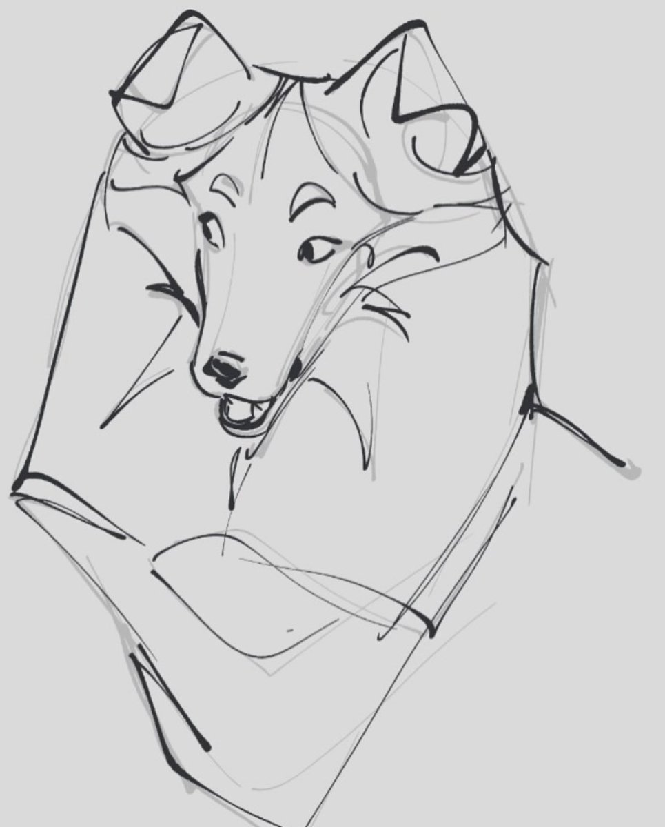 dog