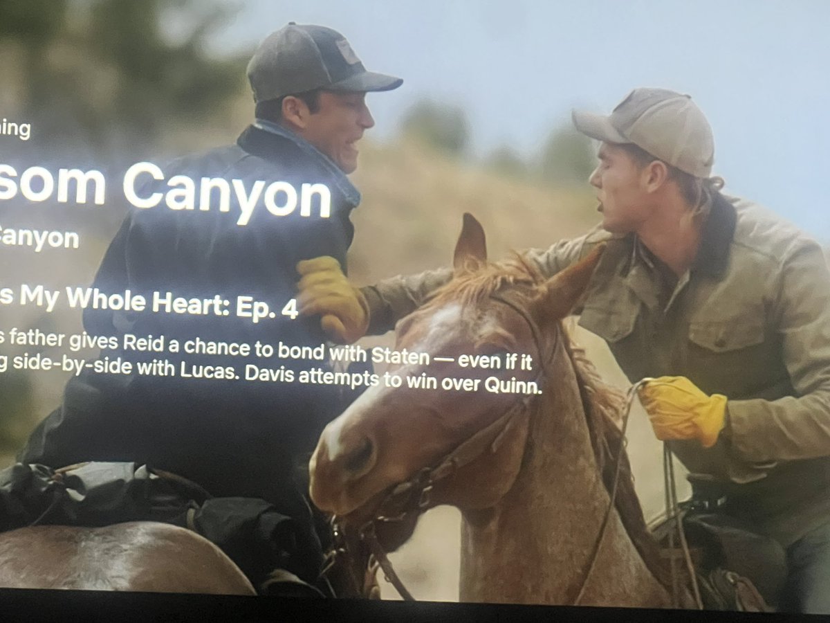 bit3theapple's tweet image. All I see are #yellowgloves 

THIS is where I expect to see them at. Riding horse or working in a shop. Not at the front lines of protest.